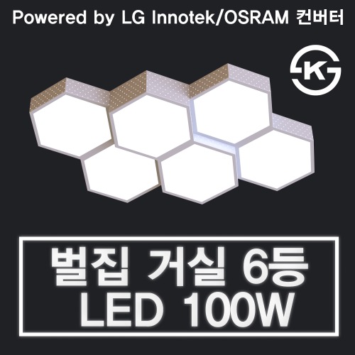 LED 100W 벌집 거실 6등 (LG 이노텍 칩 / OSRAM 안정기 사용)